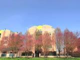 Appartamento, FERRARA, Aguscello, 230.000 €, 85,00 mq