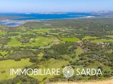 Particella, SANTA TERESA GALLURA, 280.000 €, 2813,00 mq