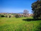Particella, RECANATI, 50.000 €, 10380,00 mq