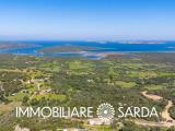Particella, SANTA TERESA GALLURA, 340.000 €, 2401,00 mq