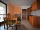 Affitto, Appartamento, PINEROLO, 450 €, 50,00 mq