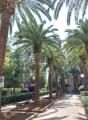 Appartamento, BARI, Picone, 335.000 €, 99,00 mq