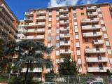 Affitto, Appartamento, PALERMO, Passo di Rigano, 750 €, 91,00 mq
