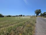 Particella, CERVETERI, 55.000 €, 17400,00 mq