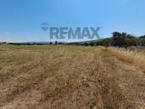 Particella, COMISO, 320.000 €, 6500,00 mq