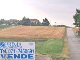 Particella, SANTA MARIA NUOVA, 65.000 €, 4000,00 mq