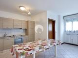 Affitto, Appartamento, BOLOGNA, Corticella, 630 €, 50,00 mq