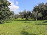 Particella, VITTORIA, 60.000 €, 30000,00 mq
