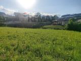 Particella, MONTE DI MALO, 55.000 €, 927,00 mq