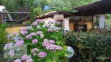 Casa, PIETRASANTA, 250.000 €, 64,00 mq