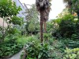 Casa, RAVENNA, 420.000 €, 200,00 mq