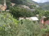 Casa, RECCO, 50.000 €, 100,00 mq