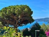 Appartamento, RAPALLO, 185.000 €, 43,00 mq