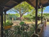 Casa, GROSSETO, 340.000 €, 160,00 mq