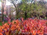 Appartamento, ROMA, Marconi, 275.000 €, 60,00 mq