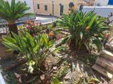 Casa, RAGUSA, 350.000 €, 170,00 mq