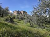 Casa, CARMIGNANO, 330.000 €, 142,00 mq
