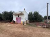 Superfici commerciali, MONOPOLI, 145.000 €, 30,00 mq
