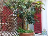 Appartamento, MAIORI, 299.000 €, 45,00 mq