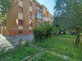 Appartamento, MIRANDOLA, 67.000 €, 62,00 mq