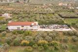 Superfici commerciali, RENDE, 290.000 €, 468,00 mq