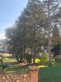 Appartamento, NETTUNO, 130.000 €, 55,00 mq