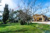 Casa, CESENA, 480.000 €, 500,00 mq