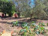 Casa, MASSA, 308.000 €, 135,00 mq