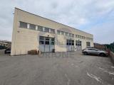 Superfici commerciali, ZOLA PREDOSA, 280.000 €, 270,00 mq