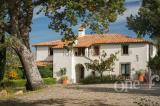 Casa, SEGGIANO, 1.450.000 €, 1050,00 mq