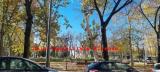 Appartamento, FIRENZE, Leopoldo, 450.000 €, 140,00 mq
