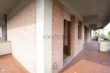 Casa, GROSSETO, 580.000 €, 366,00 mq