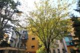 Appartamento, MILANO, 199.000 €, 90,00 mq