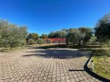 Casa, UZZANO, 750.000 €, 275,00 mq