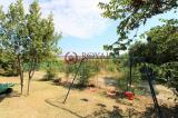 Appartamento, COLLESALVETTI, 235.000 €, 175,00 mq