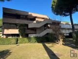 Appartamento, BIBBONA, 155.000 €, 50,00 mq