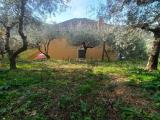 Casa, LUCCA, 340.000 €, 270,00 mq