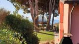Casa, CAMPO NELL