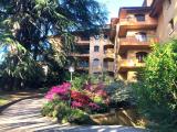 Appartamento, VARESE, 310.000 €, 147,00 mq