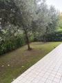 Appartamento, CORINALDO, 200.000 €, 120,00 mq