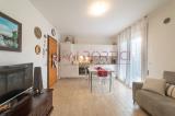 Appartamento, PIOVE DI SACCO, 130.000 €, 61,00 mq