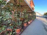 Superfici commerciali, PARMA, 295.000 €, 203,00 mq