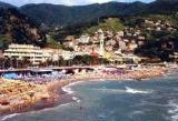 Superfici commerciali, MONEGLIA, 320.000 €, 500,00 mq