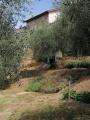 Casa, LUCCA, Chiatri, 115.000 €, 160,00 mq