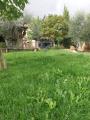 Casa, CASTIGLIONE DEL LAGO, 349.000 €, 150,00 mq