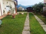 Casa, CASCINA, 350.000 €, 150,00 mq