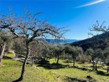 Casa, SANTA MARGHERITA LIGURE, 1.170.000 €, 220,00 mq