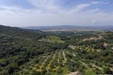 Casa, SCARLINO, 745.000 €, 200,00 mq