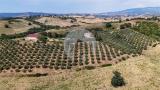 Casa, CAMPAGNATICO, 550.000 €, 200,00 mq