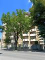 Appartamento, BUSTO ARSIZIO, 110.000 €, 90,00 mq